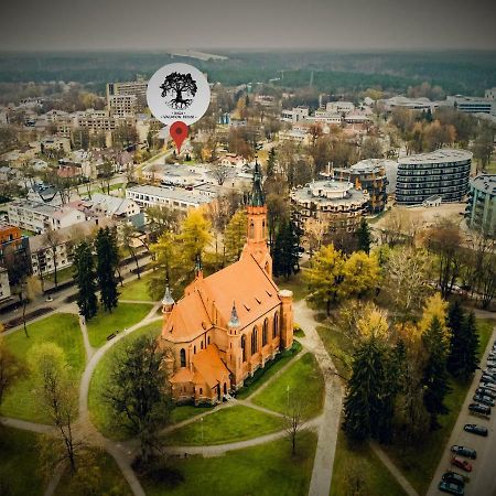 Inga Vacation House Druskininkai Eksteriør bilde