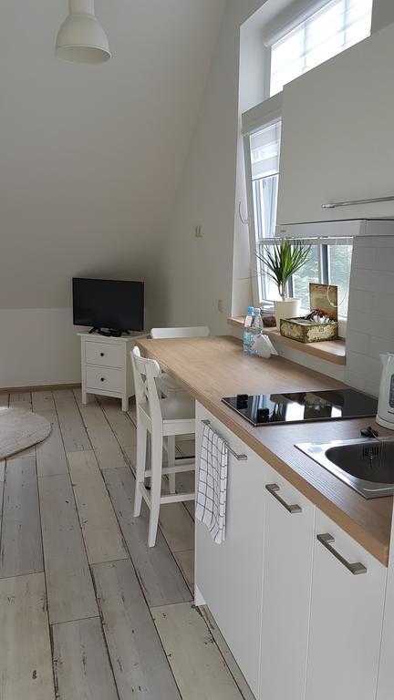Inga Vacation House Druskininkai Eksteriør bilde